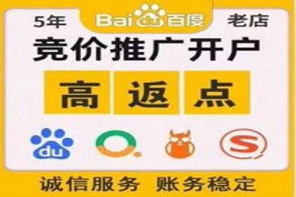 解析sem代运营公司经典案例：如何实现ROI最大化